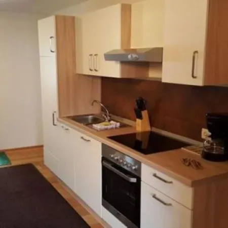 Meissnizter Dabauernhof - Seeblick Apartment Tamsweg